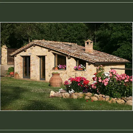 Podere Marroneto Lama (Tuscany)