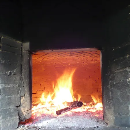 Gospodarstwo agroturystyczne Podere Marroneto Lama (Tuscany)