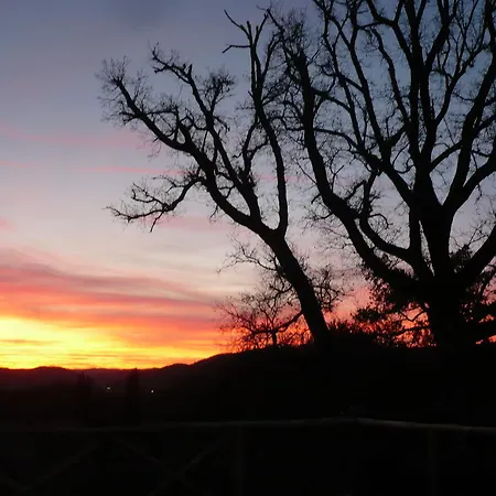 Podere Marroneto Lama (Tuscany)