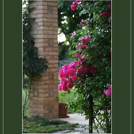Podere Marroneto Lama (Tuscany)
